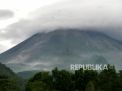 Gunung Merapi Semburkan 12 Kali Guguran Lava Pijar Sejauh 1,5 Km