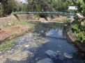 Warga Ponorogo Resah, Air Sungai Mungkungan Berubah Jadi Hitam dan Bau