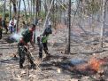 BPBD: Empat Bulan, 60.5 Hektar Hutan dan Lahan di Ponorogo Terbakar