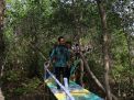 Wabup Qosim: Wisata Mangrove Bawean Dorong Peningkatan Ekonomi Warga