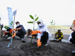 Pengembangan UMKM dan Wisata Pantai Cemara Menuju Banyuwangi Rebound