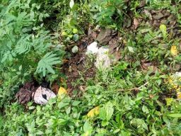 Sesosok Mayat Bayi Terbungkus Jarik Ditemukan di Jurang Pacet Mojokerto