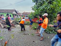 Hujan Angin Landa Sidoarjo, 15 Rumah Warga Rusak