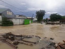 Luapan Kali Lamong Juga Hanyutkan Jembatan Darurat di Benjeng Gresik