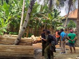 Petugas Gabungan KPH Banyuwangi Amankan 73 Kayu Gelondongan di Gudang Warga