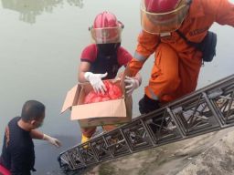 Mayat Bayi dengan Wajah Rusak Ditemukan di Sungai Asemrowo, Surabaya
