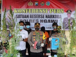 Kedapatan Tanam dan Jual Ganja, Polisi Ringkus Pemilik Angkringan di Ngawi