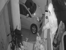 Satroni Perumahan di Kota Madiun, Komplotan Curi 8 Sepeda Angin dalam Sehari