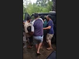 Pohon Tumbang Timpa Warung di Jolotundo Mojokerto, 2 Orang Tewas