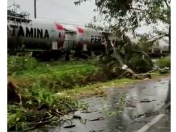 Pohon Tumbang Timpa Kereta Api di Pasuruan