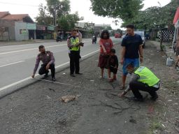 Pria di Pasuruan Tewas Disambar Mobil Saat Ikat Tiang Tenda Hajatan
