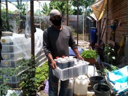 Pria di Ponorogo Sulap Urine Kelinci Jadi Pupuk Bernilai Ekonomi Tinggi