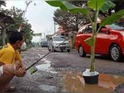 Warga Malang Tanam Pohon Pisang Wujud Protes Kondisi Jalan Berlubang