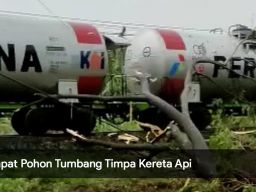 Video: Empat Pohon Tumbang Timpa Kereta Api