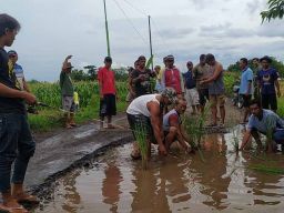 Langkah Pemerintah Desa di Probolinggo dalam Penanganan Jalan Rusak
