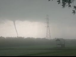 Angin Puting Beliung Terjang Persawahan di Bojonegoro, Warga Panik Berlarian