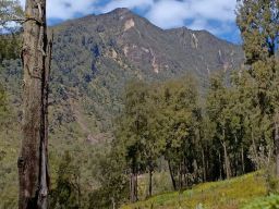 Jika Ingin Selamat, Hindari Jalur Pendakian Gunung Arjuno-Welirang Ini