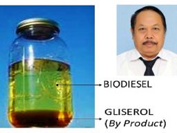 Guru Besar Unesa Teliti Biji Karet Jadi Bahan Bakar Diesel