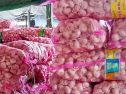 PPBN Berharap Presiden Bijaksana Soal Impor Bawang Putih