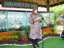 Gelar Aquarium Expo, Banyuwangi Pacu Ekonomi Kreatif