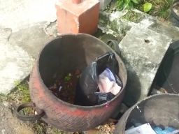 Ari-ari Misterius Gemparkan Warga di Prajurit Kulon Mojokerto, Ternyata...