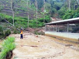 214 Bencana Terjadi di Ponorogo Sepanjang 2021, Longsor dan Banjir Mendominasi