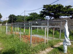 Komunitas Diduga Homo di Sumber Air Panas Kepulungan Disebut Asal Lintas Daerah