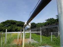 Jejak Aksi Asusila Komunitas Diduga Homo di Sumber Air Panas Kepulungan Pasuruan