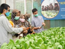 Mahasiswa Teknik Elektro UK Petra Ciptakan Aplikasi Urban Farming Berbasis IoT