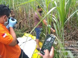 Identitas Mayat Perempuan Telanjang di Ladang Tebu Jombang Terungkap