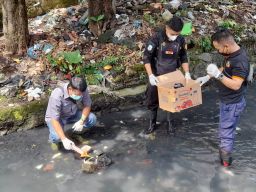 Warga Banyu Urip Surabaya Temukan Mayat Bayi saat Kerja Bakti