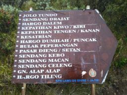 Pilihan Pembaca: Janda Muda di Surabaya hingga Kisah Misteri Trending Tahun 2021