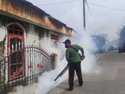 DBD Merebak di Mojokerto, Satu Anak Meninggal 7 Dirawat