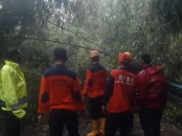 Diterjang Hujan Angin, Banjir hingga Pohon Tumbang Terjadi di Probolinggo