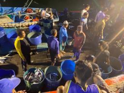 Viral Nelayan di Pacitan Diduga Bantai Lumba-lumba, Polisi Lakukan Penggeledahan