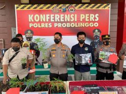 Polisi Grebek Pesta Ganja di Lereng Bromo, 10 Orang Diringkus
