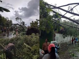 Puting Beliung Terjang 4 Kecamatan di Probolinggo, Begini Dampaknya