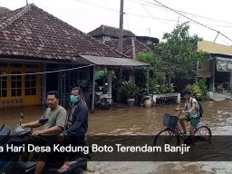 Video: Desa Kedungboto Dua Hari Terendam Banjir