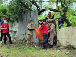 Seorang Wanita Ditemukan Tewas dalam Lahan Kosong di Surabaya