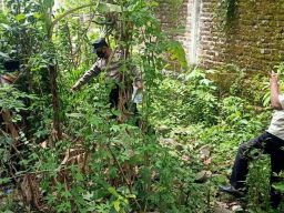 Warga Ponorogo Meninggal Usai Jatuh dari Pohon Setinggi 3 Meter