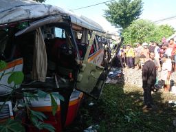 Pilihan Pembaca: Bus Ditabrak KA, Terjatuh Lewati Lubang, Anak Buaya