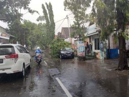 Kafe Rusak hingga Mobil Tertimpa Pohon Akibat Hujan Angin di Ponorogo