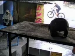 Emak-emak Curi Peralatan Dapur Terekam CCTV, Ini Komentar Netizen