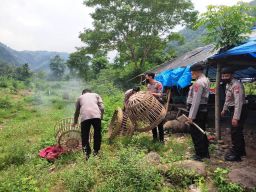 Gerebek Arena Sabung Ayam di Situbondo, Polisi Dapat Kurungan