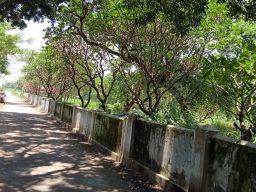 5 Berita Trending Pekan Ini, Nomor 5 Bisa untuk Uji Nyali