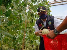 Dorong Milenial Gunakan Teknologi Pertanian, Ini Langkah Mas Dhito