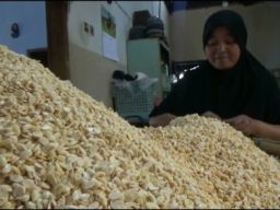 Harga Kedelai Masih Tinggi, Perajin Tempe di Kota Batu Kelimpungan