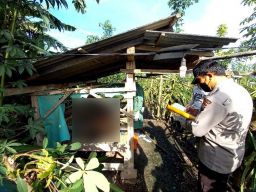 Pria di Banyuwangi Ditemukan Tewas dalam Gubuk Kebun Buah Naga