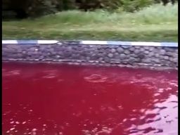 Hii... Air Sungai di Jombang Berwarna Merah Darah