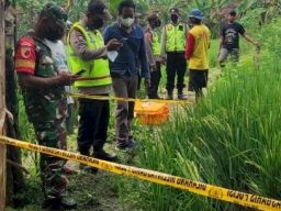 Pilihan Pembaca: Aksi Emak-emak, Tewas Kesetrum, Sopir Serahkan Diri